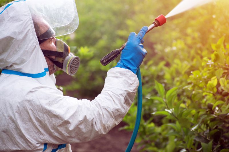 Lawn Weed Spraying in Aiken, SC