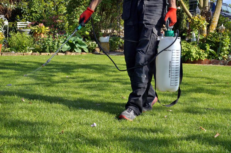 Lawn Weed Spraying in Rockwall, TX
