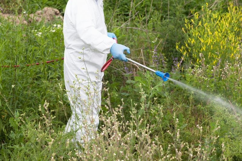 Weed Control Service in Ventura County, CA