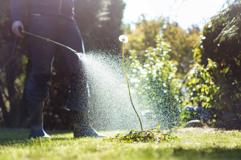 Crabgrass Prevention in Rockwall, TX