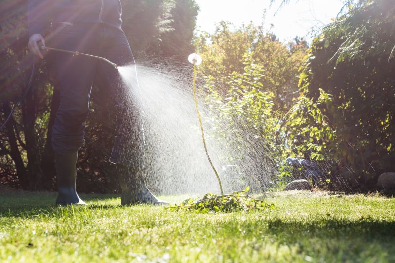 Crabgrass Removal in Aiken, SC