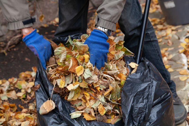 Clean Lawn with Fallen Leaves