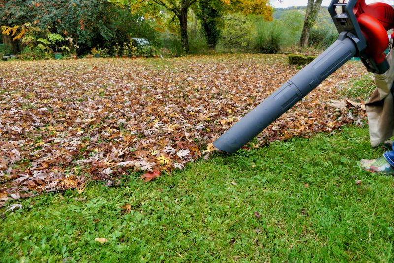 Professional Fall Cleanup Tools