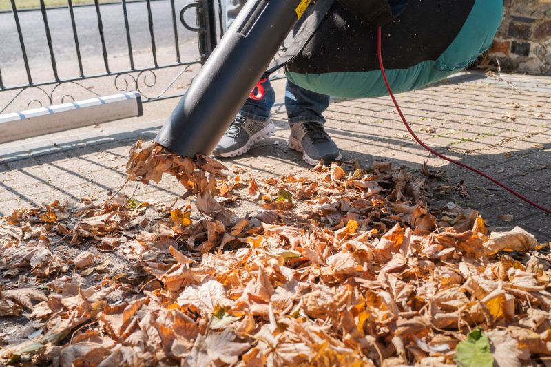 Mulching Leaves in Yard