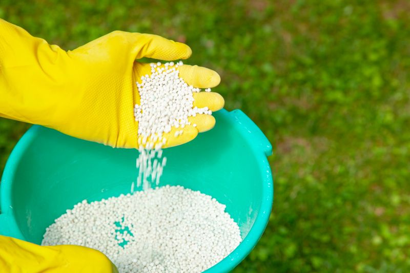 Grass Fertilizing Service in Ventura County, CA