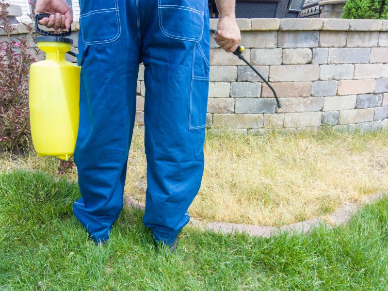 Grass Treatment in Ventura County, CA