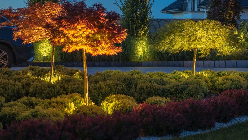 Landscape Lighting Installation in Honolulu, HI