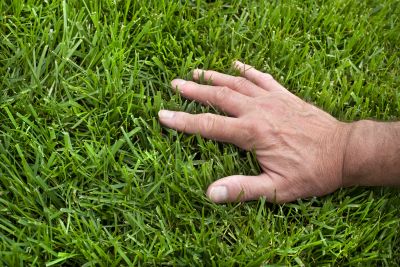 Lawn Fertilizing Service in Honolulu, HI