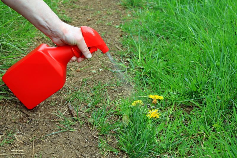 Lawn Herbicide Treatment in Rockwall, TX