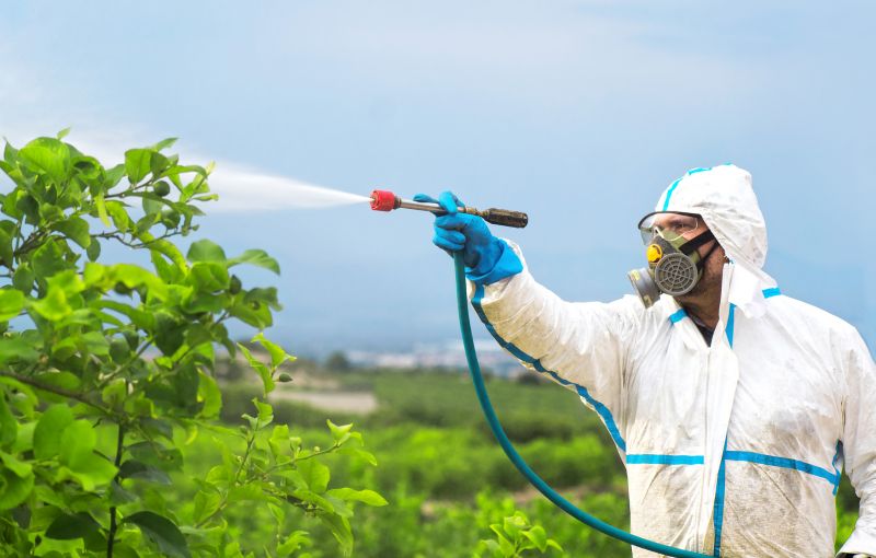 Lawn Herbicide Treatment in Ventura County, CA