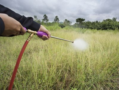 Lawn Herbicide Treatment in Honolulu, HI