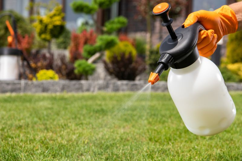 Lawn Moss Control in Honolulu, HI