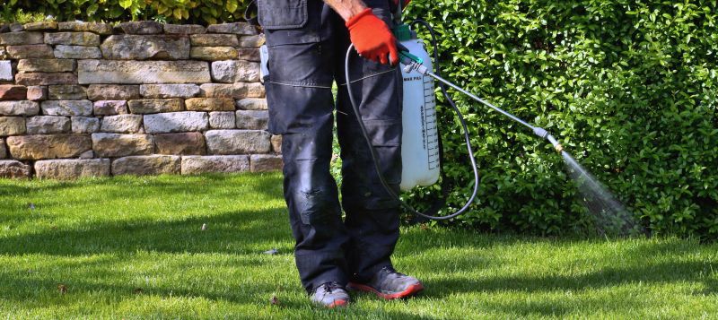 Lawn Spraying in Rockwall, TX