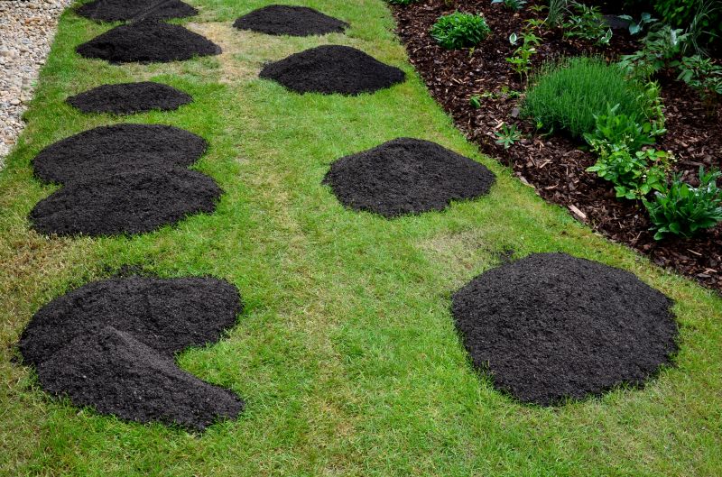 Lawn Topdressing in Ventura County, CA