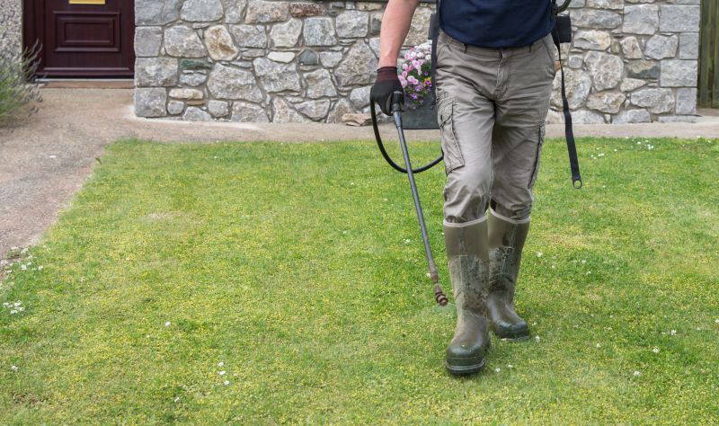 Lawn Weed Control in Honolulu, HI