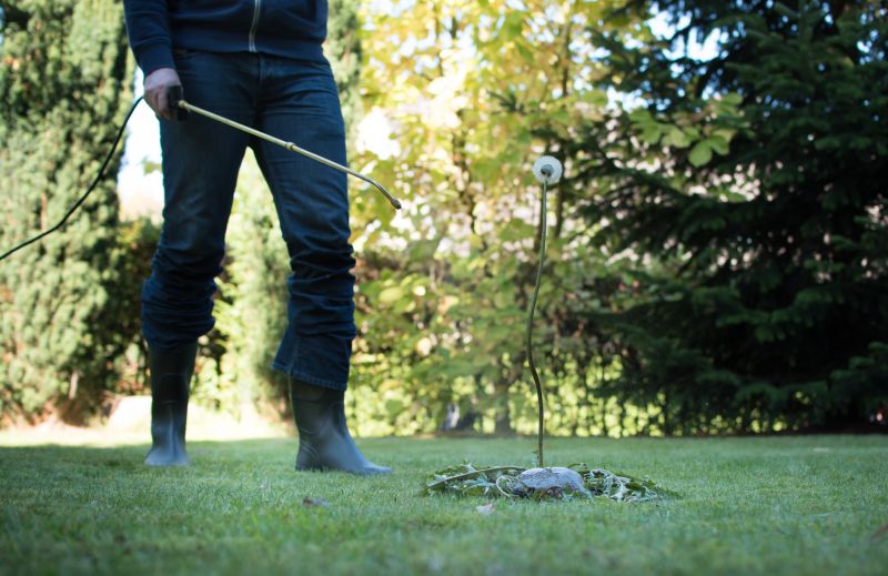 Lawn Weed Control in Aiken, SC