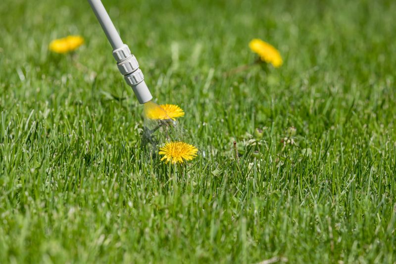 Lawn Weed Spraying in Rockwall, TX