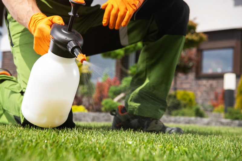 Lawn Weed Spraying in Aiken, SC