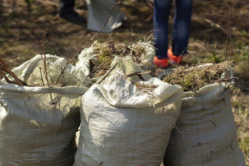 Mushroom Removal Service