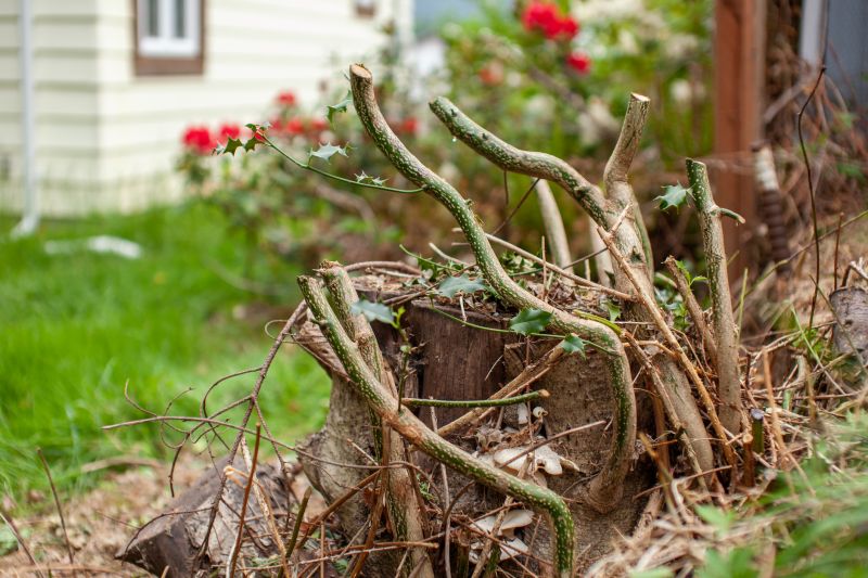 Finished Landscape After Removal