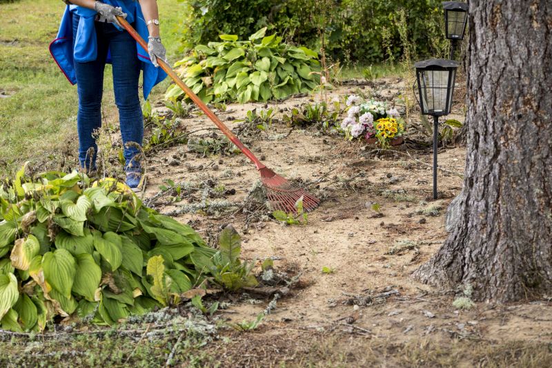 Seasonal Growth Patterns