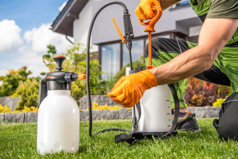 Spring Lawn Treatment in Honolulu, HI