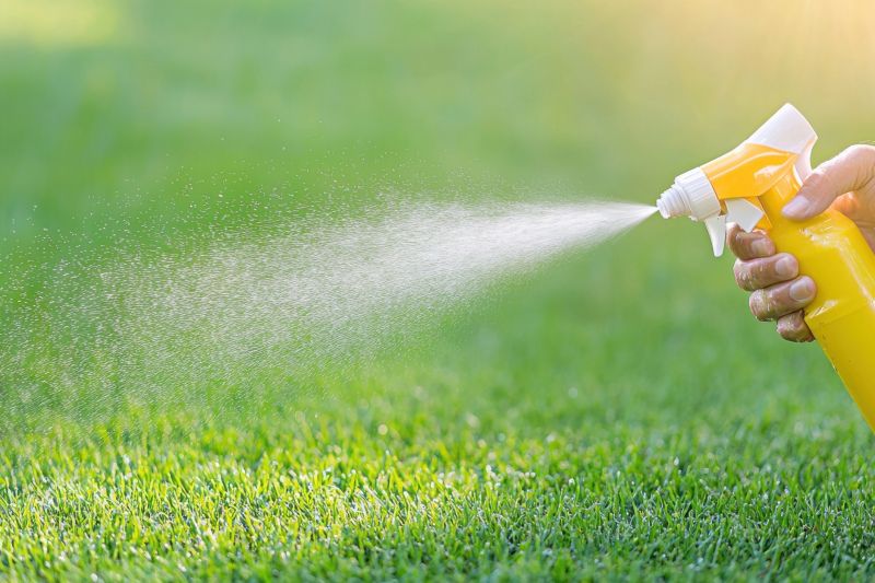 Weed Control Service in Aiken, SC