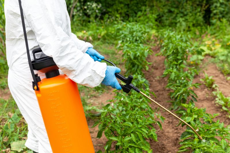 Weed Prevention Service in Rockwall, TX