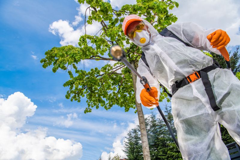 Weed Prevention Service in Ventura County, CA
