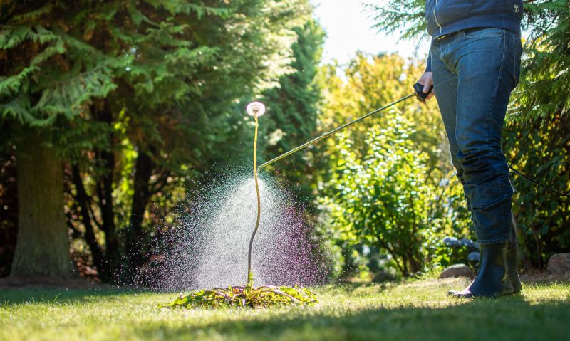Weed Spraying in Ventura County, CA