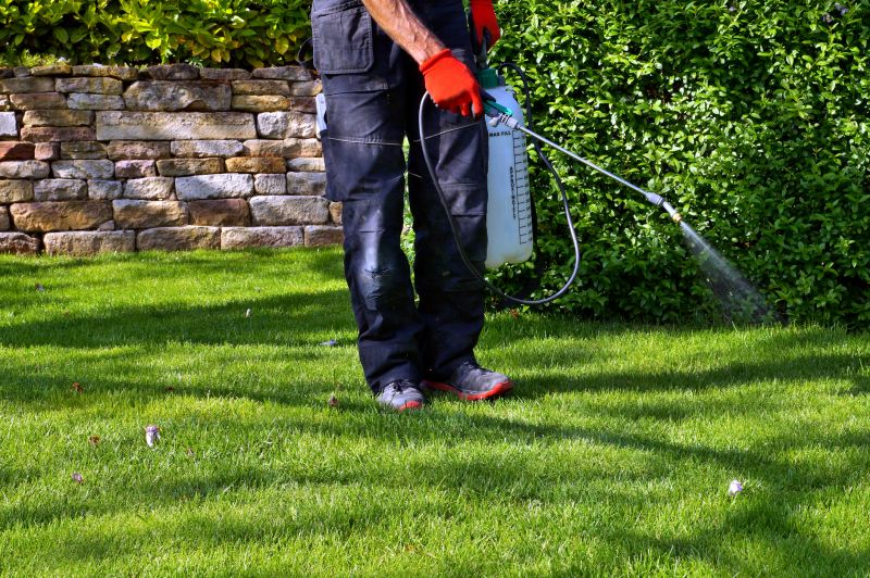 Weed Spraying in Rockwall, TX
