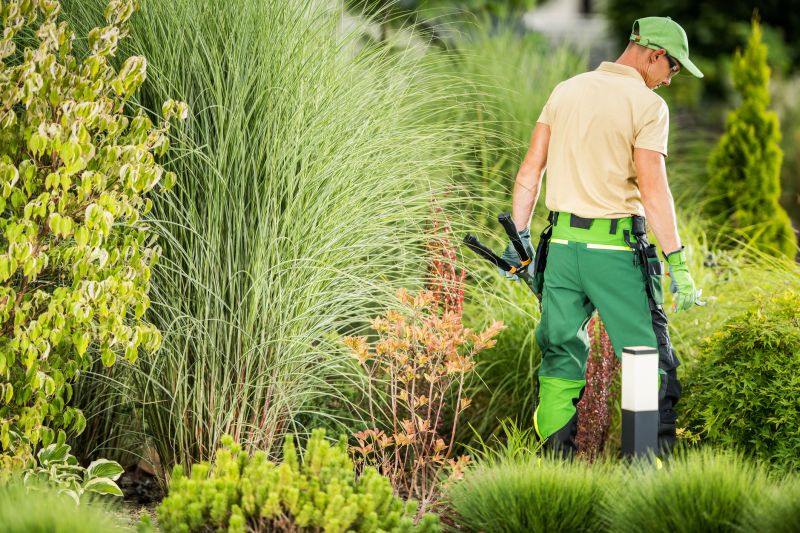 Professional Landscape Service