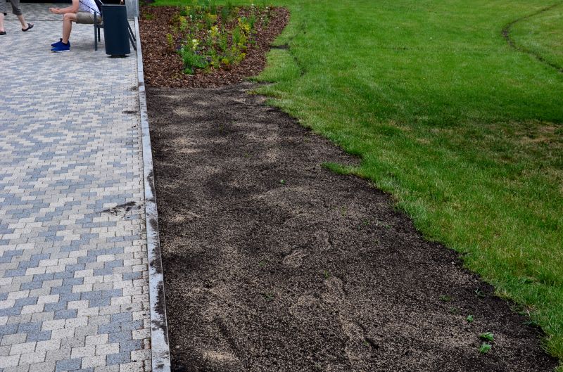 Yard Improvement Service in Honolulu, HI