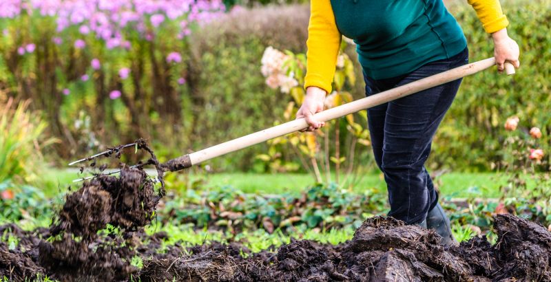 Yard Improvement Service in Ventura County, CA
